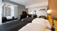 APA Hotel Gifu-Hashima-Ekimae Hotels near Ganshinji