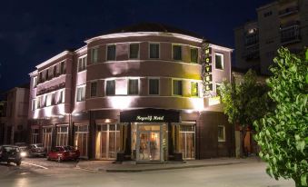 a city street at night , with a large building on the left side of the road at Hotel Regency