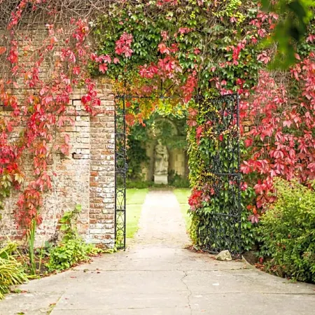 Eastwell Manor, Champneys Hotel & Spa