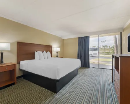 國際高速路貝斯特韋斯特優質酒店 代託納海灘酒店