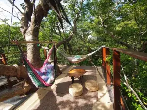 Treeful Treehouse Sustainable Resort