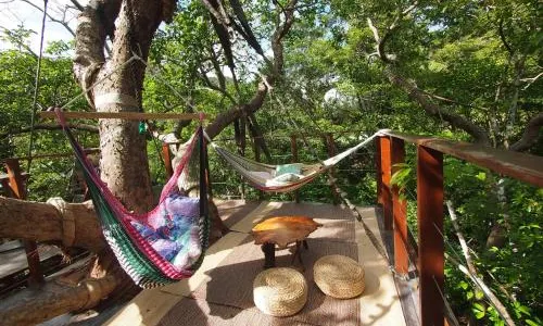 Treeful Treehouse Sustainable Resort