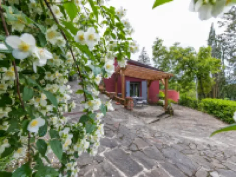 L'Orlo del Bosco モンテヴァルキのホテル