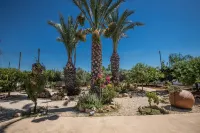 Papas Family Villa with Private Pool / WheelChair Accessible