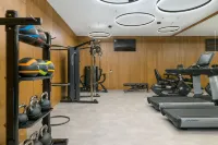 Four Points by Sheraton Budapest Danube - 피트니스 시설