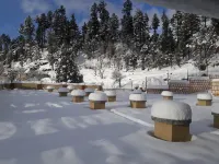 Crown Palace Hotel and Restaurant Hotels in Malam Jabba