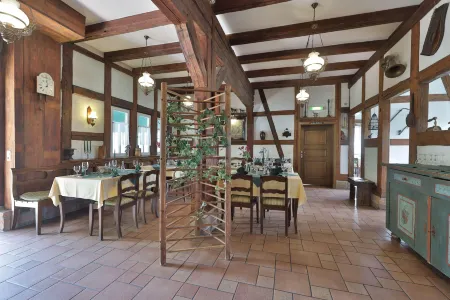 Hotel Hammermühle Отели в г. Лаусниц-Нойштадт-на-Орле