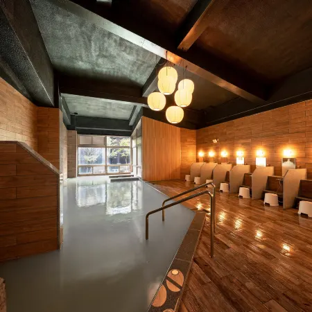Hotel Seiunso