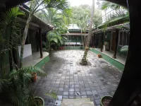 Jungle by Sturmfrei Vagator Hotels in 