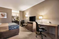 Econo Lodge Forrest City I-40 Hotels in Forrest City