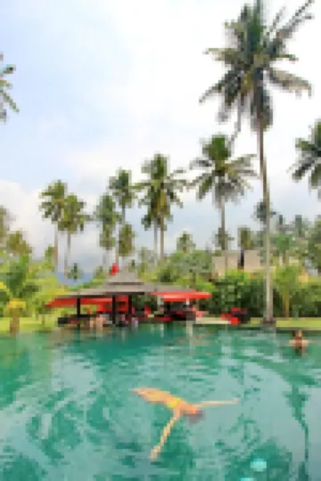 Shambhala Beach Resort