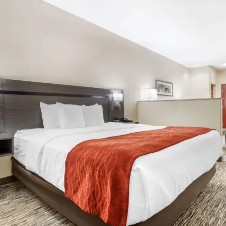 Comfort Inn Orange I-10