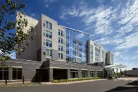 Hyatt Place Corpus Christi - bar