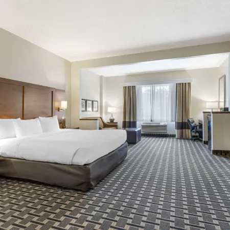 Comfort Inn Summerville - Charleston
