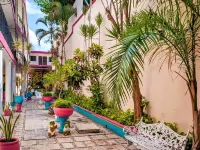 Hotel San Juan Mérida Các khách sạn ở Merida