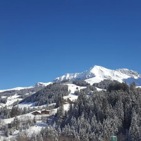 Chalet Wäschhüsi