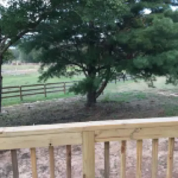Adorable Cozy House Near Tryon Equestrian Center