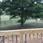 Adorable Cozy House Near Tryon Equestrian Center