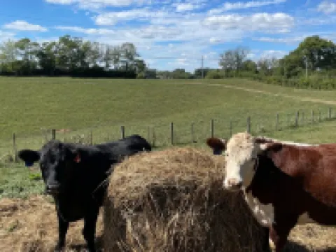 Franklin Ridge Farms Winchester ; Lexington 20 min Stanton 15min. Hotels in Clark County