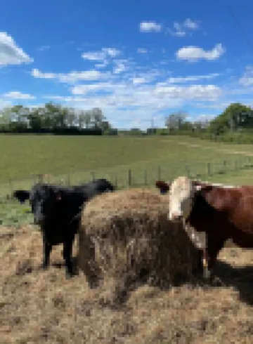 Franklin Ridge Farms Winchester ; Lexington 20 min Stanton 15min.