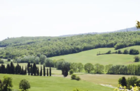 Wonderful apartment in a Tuscan farmhouse with swimming pool and panoramic terrace