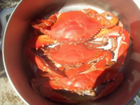 St. Johns River Retreat - CSC Unit 1