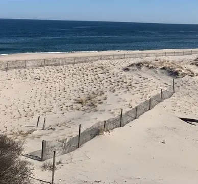 2BD 2BTH - OCEANFRONT & POOL Amazing Bay and Park View