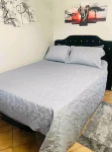 Cozy cottage at Sunseekers Resort. Pool, pets,pickleball,close to everything! Hotels in North Fort Myers