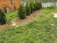 Affordable Cozy Cedar Cabin Overlooking the River Hotels in Gallia County