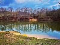 Holiday home Harz insider tip Hotels in Blankenburg