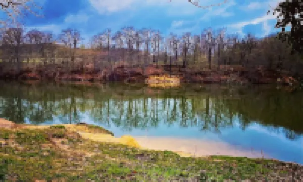 Holiday home Harz insider tip