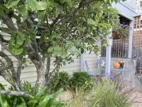 Stylish Seaside Cottage - Walking to Beach