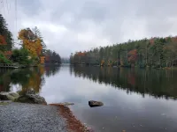 Stunning Views w/Firepit, 2/1 Cottage, Creek, Starlink, Ada + Pet Friendly