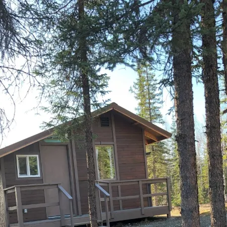 Cozy and Quiet One Bedroom Cabin 1/2 Mile Off Parks Highway Mile 57 in Houston.