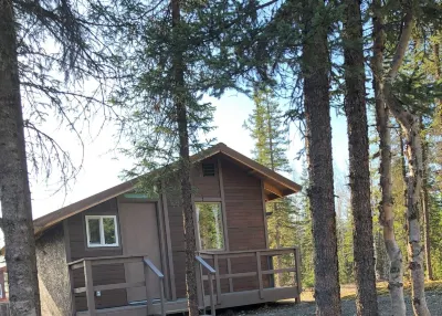 Cozy quiet One Bedroom Cabin with short walk to Little Susitna River in Houston.