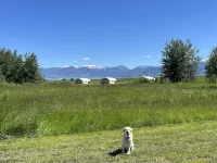 Heritage Ranch 'Elk' Tent (6)