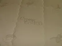 Lavish Tranquil No-Steps Oasis