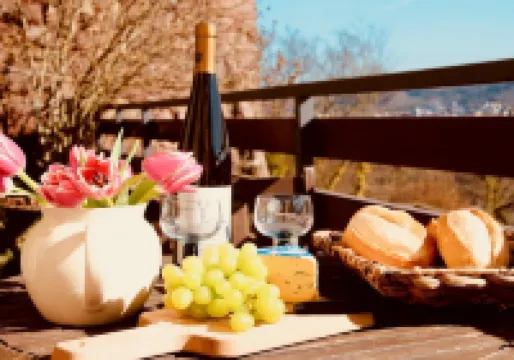 FELSENHAUS with view over Trier - living in the rock