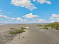 "Ocean Shore Desire" Beach Getaway! Beach/HotTub/Gameroom/Sleeps 10 Hotels in Copalis Beach