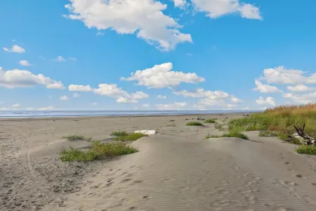 "Ocean Shore Desire" Beach Getaway! Beach/HotTub/Gameroom/Sleeps 10 Отели в г. Копалис Бич