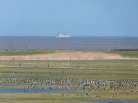 Vacation home directly on the river, close to the beach, WLAN, TV, 6 beds, own jetty