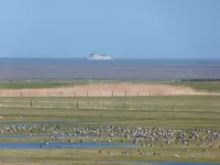 Vacation home directly on the river, close to the beach, WLAN, TV, 6 beds, own jetty Hotels in Dornumersiel