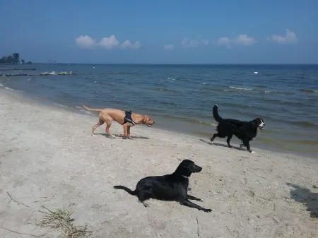 Apartment "Paul" on the Szczecin Lagoon / Meck-Pom / Ueckermünde-Bellin Отели в г. Иккермюнде