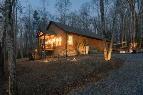 Luxe Cabin Retreat HotTub • 20 min Blue Ridge• Vineyards•Games• Firepit• Pets