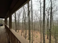 Cozy, 2/2 surrounded by trees and mountains