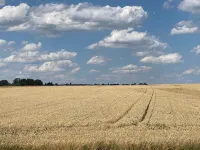 Lieblingsplatz
