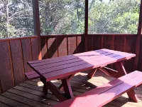TENNESSEE CABIN!  CONVENIENT LOCATION! COZY & COMFORTABLE! BOOK TODAY!
