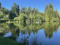 The Peace of Paradise Cabin 5 mi from the Nisqually entrance to Mt.Rainier