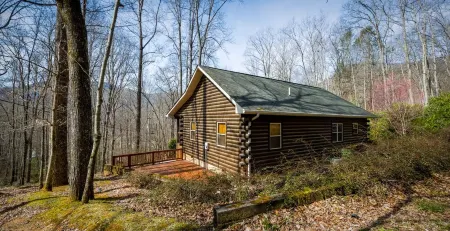 Mountain Retreat Log Cabin in Waynesville Near Asheville
