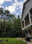 The northern woods